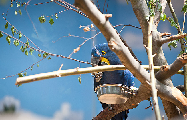 无限拨打电话软件