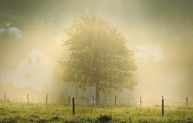 轰炸电话信息软件免费版