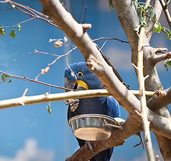 炸你妹在线轰炸