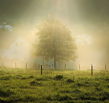 卡密代理价格的短信压力测试器