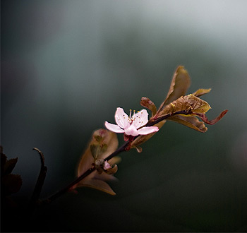 文件管理器的手机号轰在线轰炸