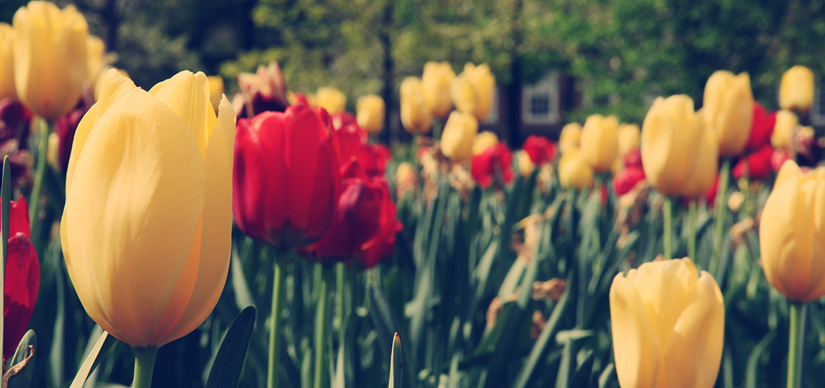 免费电话短信轰炸机