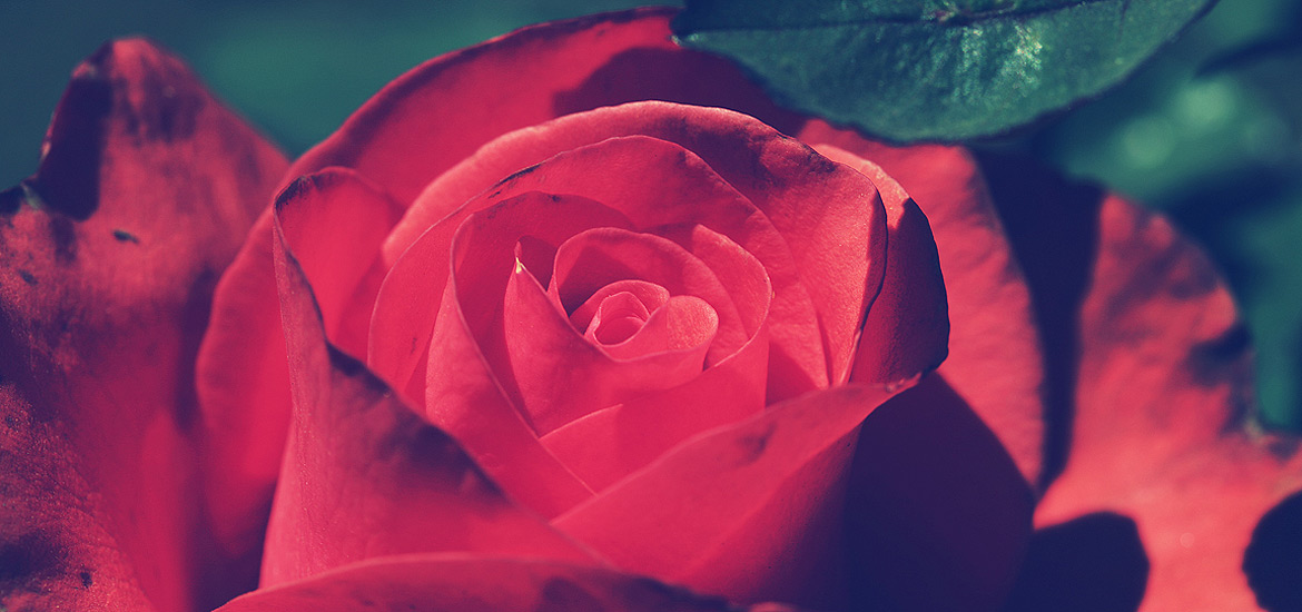 短信在线云呼轰炸